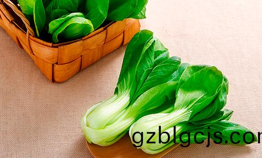 淨(jing)菜(cai)定製