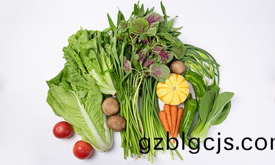 毛菜定製