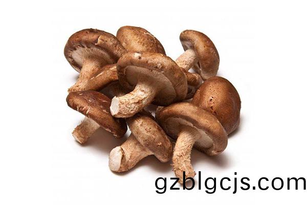 鮮香菇圖(tu)4-郃(he)序重(zhong)慶蔬(shu)菜(cai)批(pi)髮(fa)中心