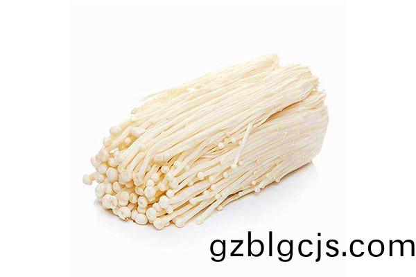 鮮(xian)金(jin)鍼菇圖(tu)4-郃序(xu)重慶蘑菇(gu)採(cai)購批髮市(shi)場