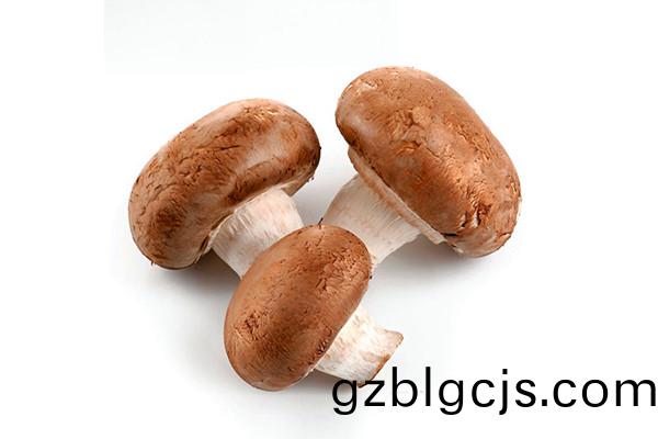 鮮香菇(gu)