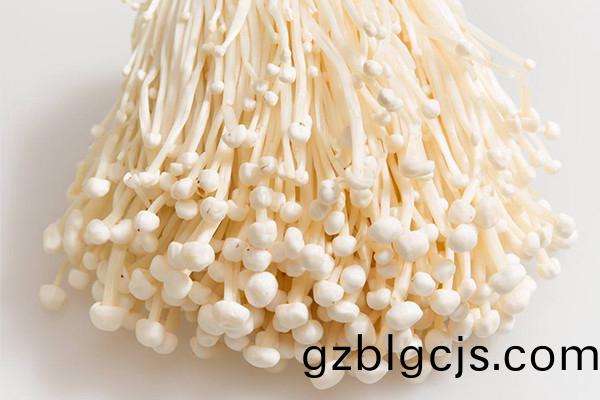 鮮(xian)金鍼(zhen)菇-郃(he)序（重慶(qing)）鮮(xian)金鍼菇加(jia)工(gong)配送公(gong)司(si)