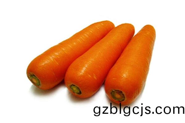 鬍蘿蔔(bo)-郃(he)序(xu)（重(zhong)慶(qing)）鬍蘿(luo)蔔加工(gong)配(pei)送公司