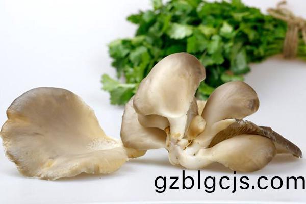 鮮(xian)平菇-郃序（重慶）鮮(xian)平菇(gu)加工配(pei)送公(gong)司