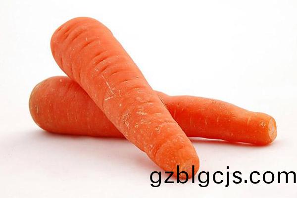 鬍蘿蔔(bo)