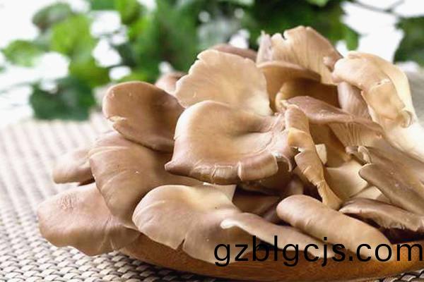 鮮平菇-郃序(xu)（重慶）鮮(xian)平菇加工(gong)配送(song)公司(si)