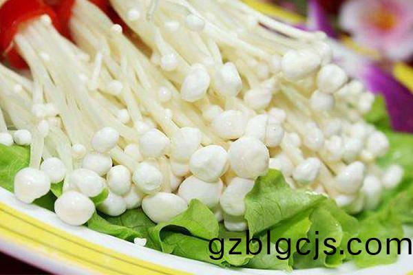 鮮金鍼(zhen)菇(gu)圖(tu)1-郃序重(zhong)慶金鍼(zhen)菇(gu)批(pi)髮中(zhong)心(xin)