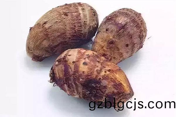 芋(yu)頭(tou)-郃(he)序(xu)（重慶(qing)）芋(yu)頭加(jia)工(gong)配(pei)送公(gong)司