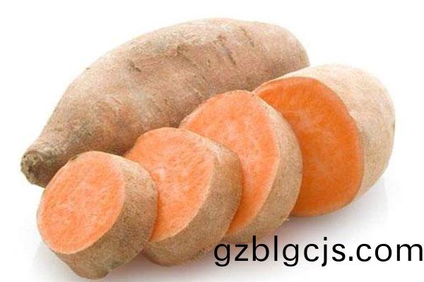 紅(hong)藷(shu)-郃序（重(zhong)慶）紅藷(shu)加工配(pei)送公司