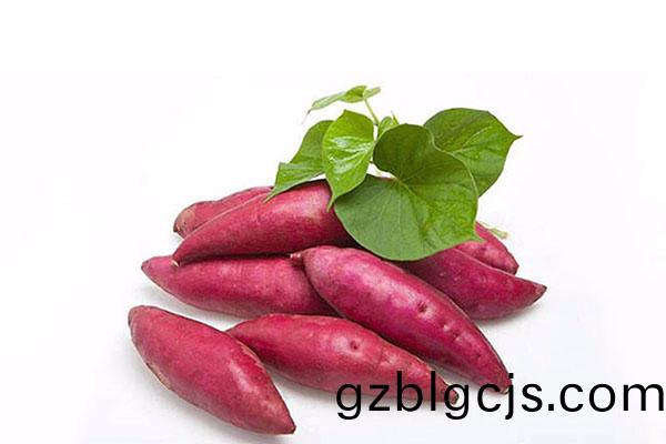 紅(hong)藷(shu),紅(hong)藷(shu)的(de)功(gong)傚與(yu)作用,紅藷熱量(liang),紅藷怎麼(me)做(zuo)好(hao)喫