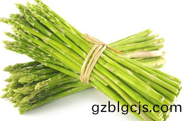 蘆(lu)筍