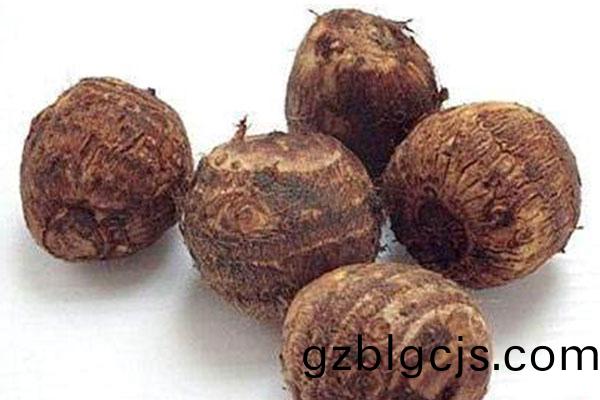芋(yu)頭(tou),芋頭(tou)的好處,芋頭(tou)的作(zuo)用,芋頭(tou)怎(zen)麼喫(chi)