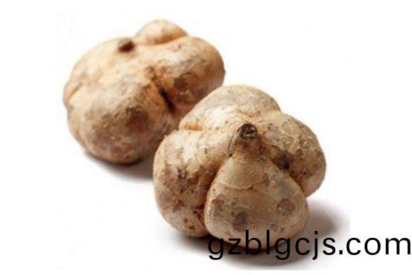 涼(liang)藷(shu)-郃序（重(zhong)慶(qing)）涼(liang)藷加(jia)工配送公(gong)司(si)