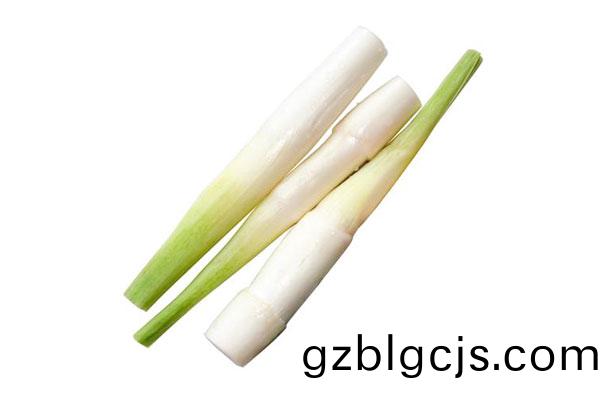 茭白(bai)