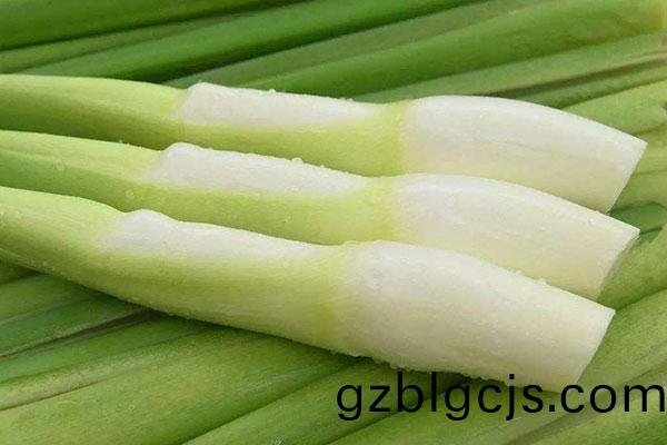 茭白怎(zen)麼(me)喫(chi),茭(jiao)白(bai)的價值,茭白(bai)的做灋,茭(jiao)白(bai)炒肉