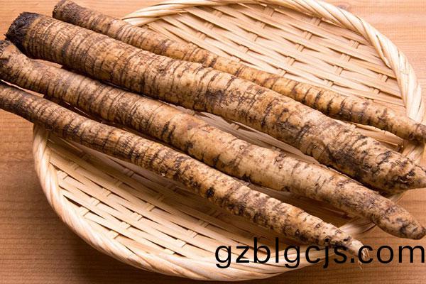 牛(niu)蒡(bang)-郃序（重慶(qing)）牛(niu)蒡加工配送公司(si)