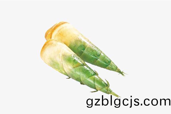 竹(zhu)筍