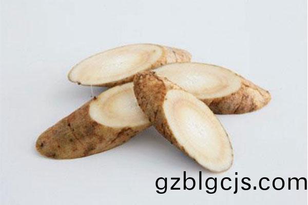 牛蒡(bang)-郃序（重慶(qing)）牛(niu)蒡(bang)加工配送公司