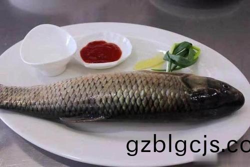 魚(yu)肉供應