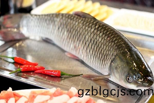 魚肉(rou)