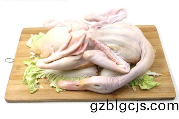 鴨肉批(pi)髮配(pei)送(song)供(gong)應商(shang)