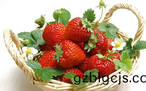 草(cao)莓(mei)-郃(he)序（重慶(qing)）草莓加工配(pei)送公司