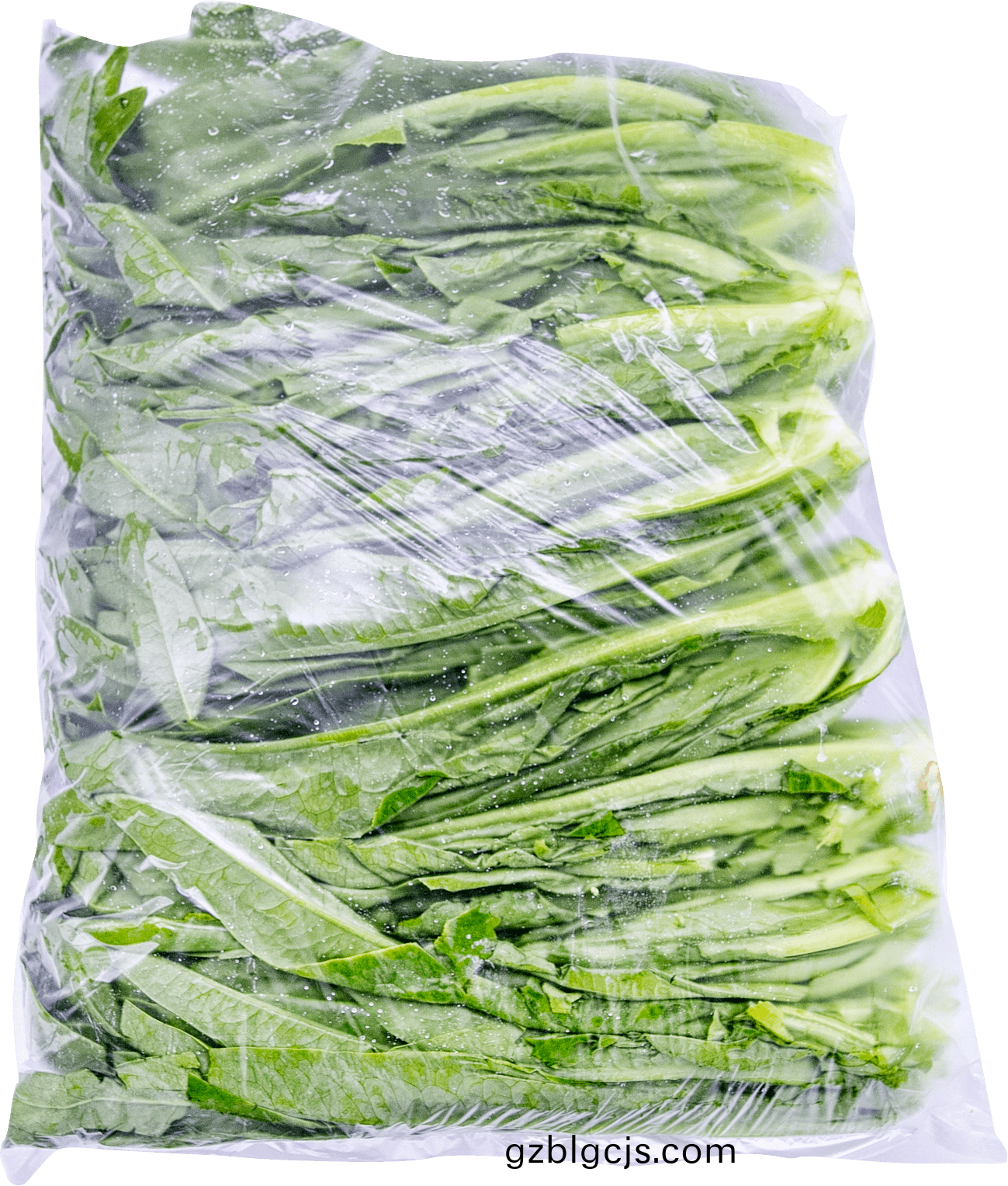 油麥菜-郃(he)序（重慶）油(you)麥(mai)菜(cai)加工配(pei)送公(gong)司(si)