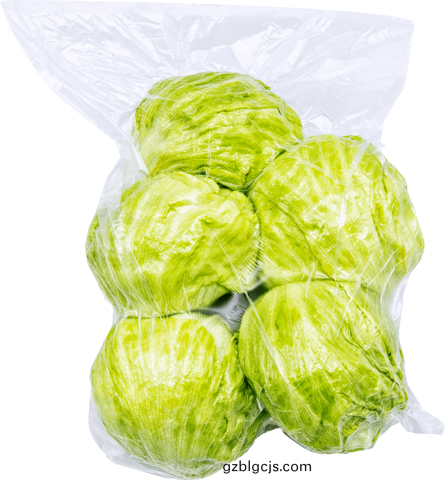 生菜(cai)-郃(he)序(xu)（重(zhong)慶）生菜(cai)加工(gong)配(pei)送(song)公(gong)司
