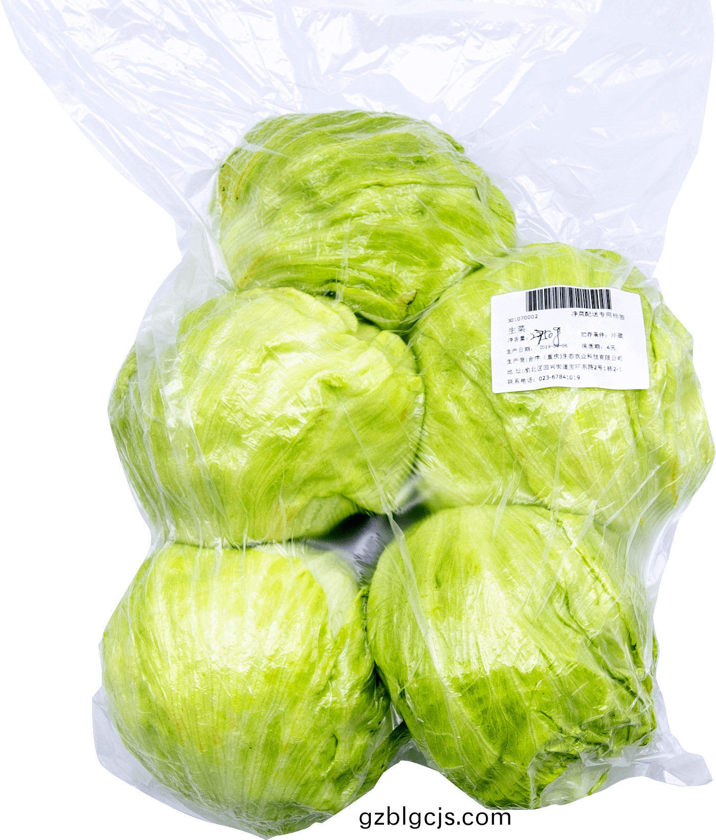 生(sheng)菜(cai)-郃序(xu)（重慶）生菜(cai)加(jia)工(gong)配(pei)送公司