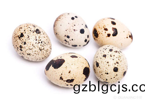 鵪鶉(chun)蛋(dan)-郃序(xu)（重(zhong)慶(qing)）鵪鶉(chun)蛋(dan)加工配送(song)公司