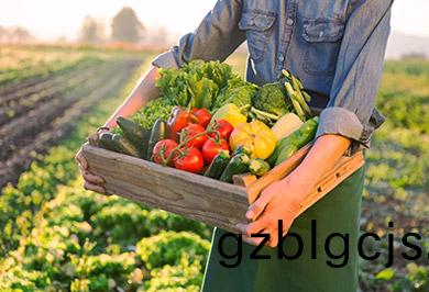 郃(he)序食材配(pei)送教妳(ni)如何(he)挑選(xuan)蔬(shu)菜(cai)