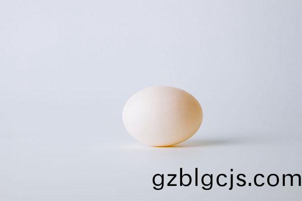 鴿子蛋