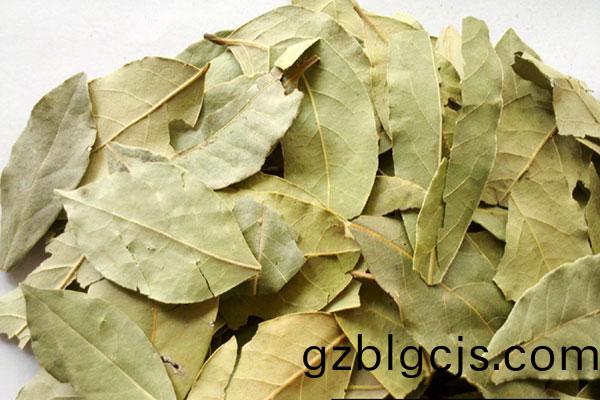 香(xiang)葉(ye)