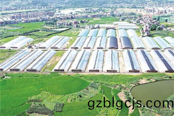 重(zhong)慶(qing)市開州(zhou)區蔬(shu)菜種植(zhi)基地