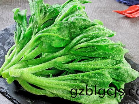 重慶(qing)淨(jing)菜加工配(pei)送(song)
