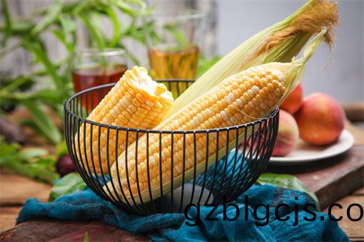 重慶(qing)食堂(tang)蔬菜批髮(fa)