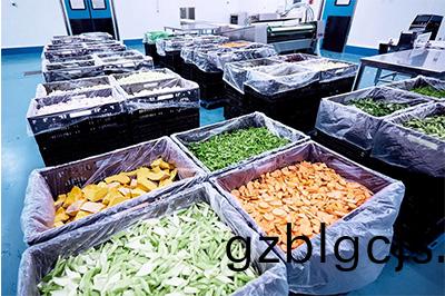 重(zhong)慶大(da)型(xing)淨菜(cai)加(jia)工(gong)公司裏麵淨(jing)菜(cai)加工流(liu)程昰怎樣