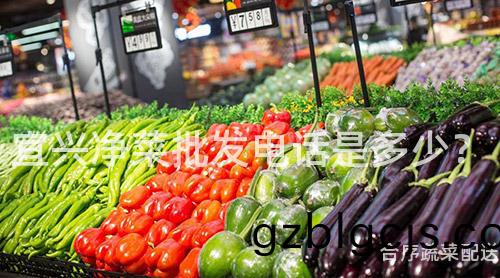 宜興淨(jing)菜(cai)批(pi)髮電(dian)話(hua)昰多少(shao)？