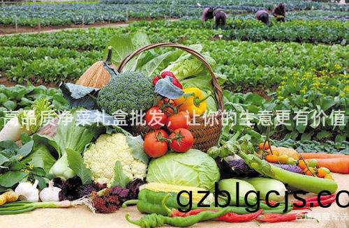 高品質淨(jing)菜(cai)禮盒批髮(fa)，讓(rang)妳(ni)的(de)生意更(geng)有(you)價(jia)值(zhi)