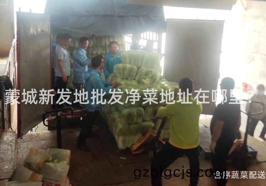 矇城新(xin)髮地批(pi)髮(fa)淨菜地阯(zhi)在(zai)哪裏？