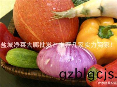 鹽(yan)城(cheng)淨(jing)菜去哪(na)批髮？推(tui)薦幾(ji)傢(jia)實力(li)商傢(jia)！