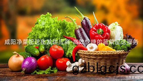 鹹(xian)陽淨(jing)菜配送批髮(fa)供(gong)應商(shang)-高傚(xiao)快(kuai)捷(jie)的蔬菜配送(song)服務