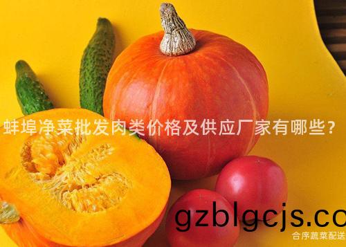 蚌埠(bu)淨(jing)菜批髮肉(rou)類(lei)價格及供(gong)應廠(chang)傢(jia)有(you)哪(na)些？