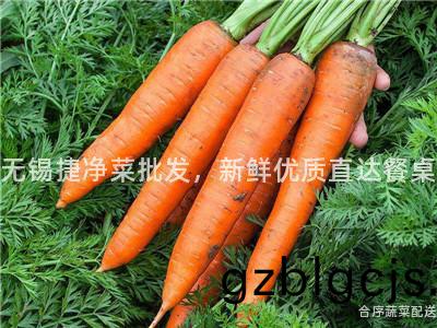 無錫(xi)捷(jie)淨菜(cai)批(pi)髮(fa)，新鮮(xian)優(you)質(zhi)直達(da)餐槕(zhuo)