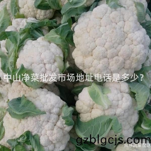 中山淨菜批(pi)髮市(shi)場地(di)阯電(dian)話昰多少？