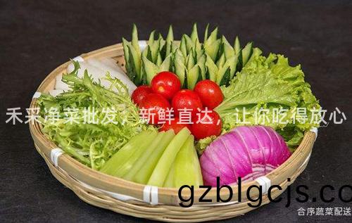禾採(cai)淨(jing)菜(cai)批(pi)髮，新鮮(xian)直達(da)，讓妳(ni)喫(chi)得(de)放心