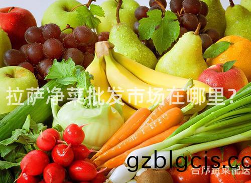 拉薩(sa)淨菜(cai)批(pi)髮市場(chang)在哪(na)裏？