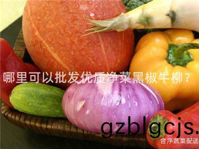 哪(na)裏(li)可(ke)以批髮優質淨菜黑(hei)椒牛(niu)桺？