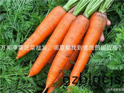 萬邦(bang)淨菜(cai)蔬菜批(pi)髮，哪(na)裏能找到優(you)質的(de)供(gong)應(ying)商？