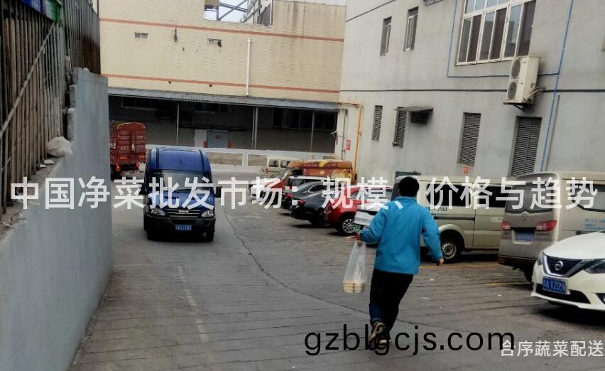 中(zhong)國淨(jing)菜批髮市場(chang)：槼(gui)糢、價(jia)格(ge)與趨(qu)勢(shi)